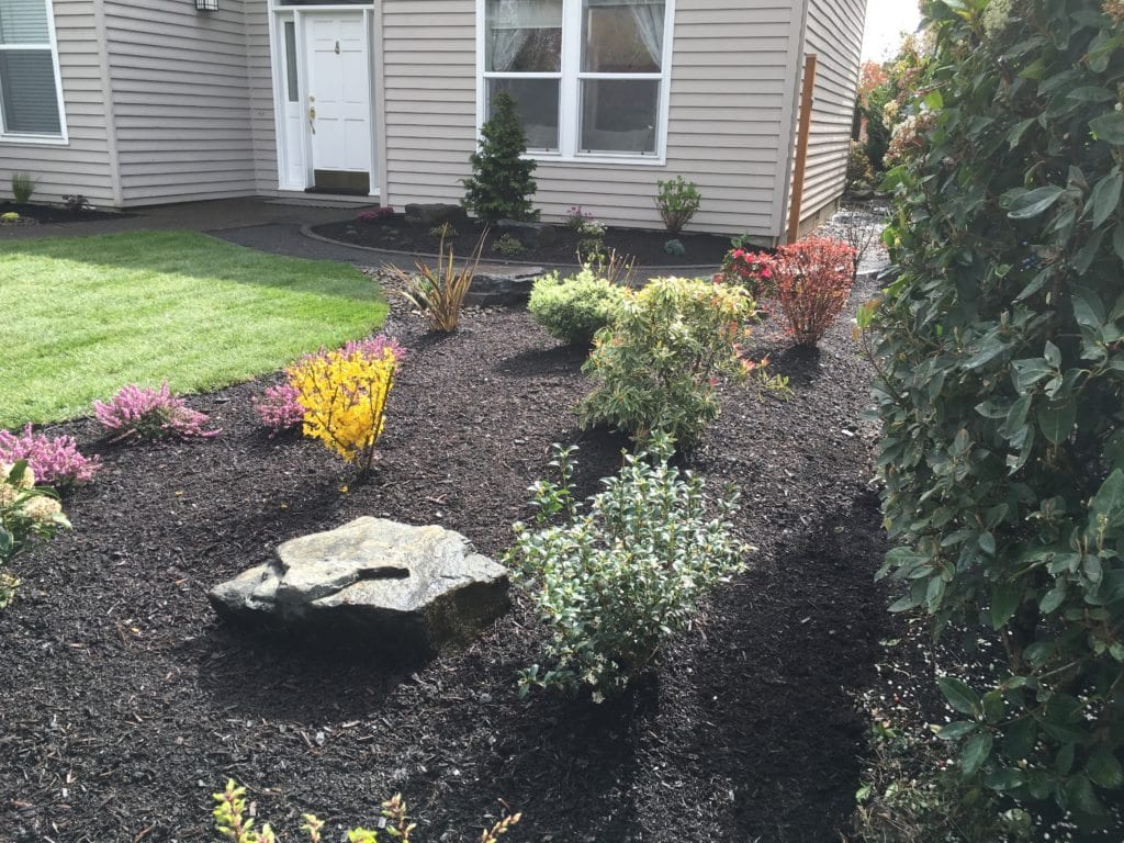 Boulders Plants Custom Landscaping