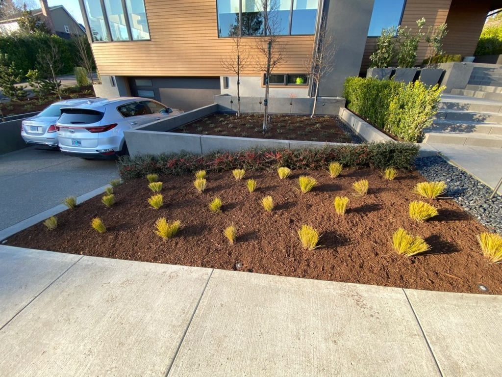 Boulders Plants Custom Landscaping