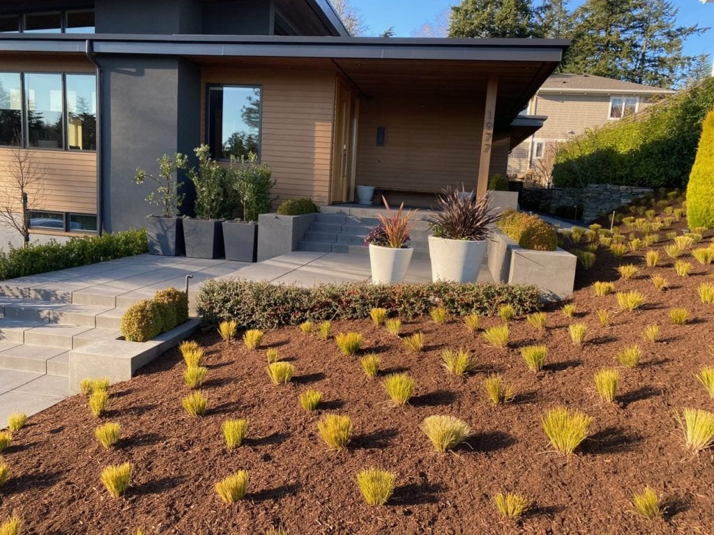 Boulders Plants Custom Landscaping