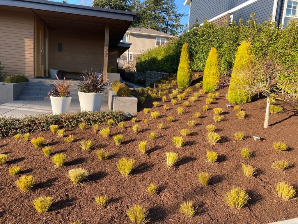 Boulders Plants Custom Landscaping