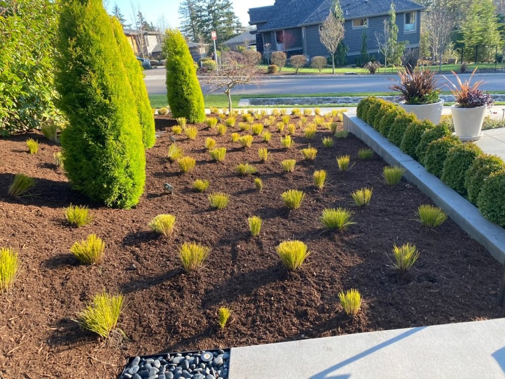 Boulders Plants Custom Landscaping