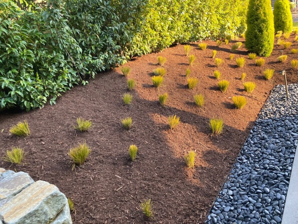 Boulders Plants Custom Landscaping