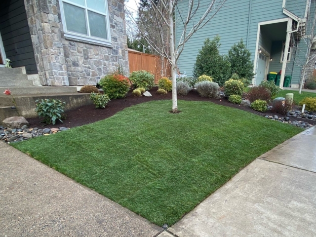 New Sod Lawns