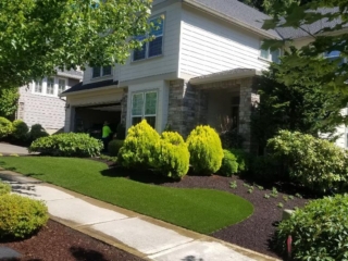 Synthetic Lawns