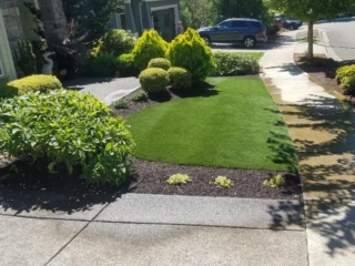 Synthetic Lawns
