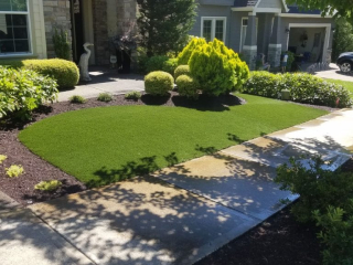 Synthetic Lawns