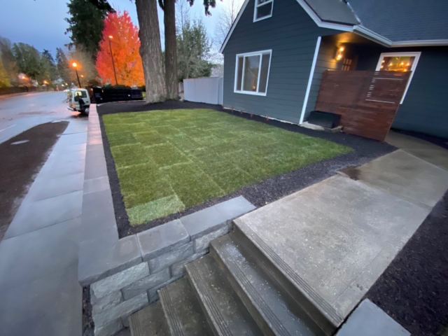 New Sod Lawns