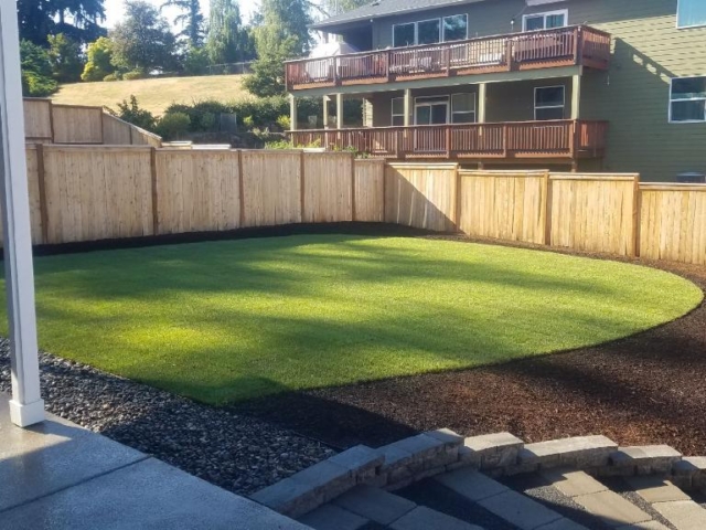 New Sod Lawns