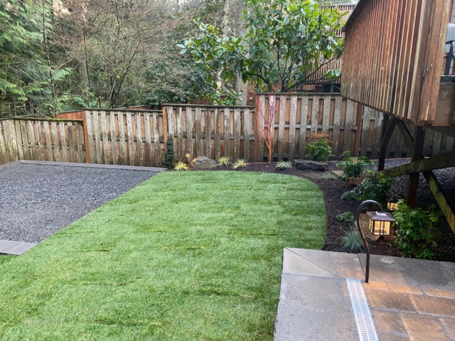 New Sod Lawns