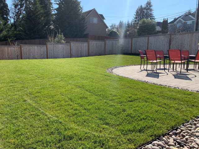 New Sod Lawns