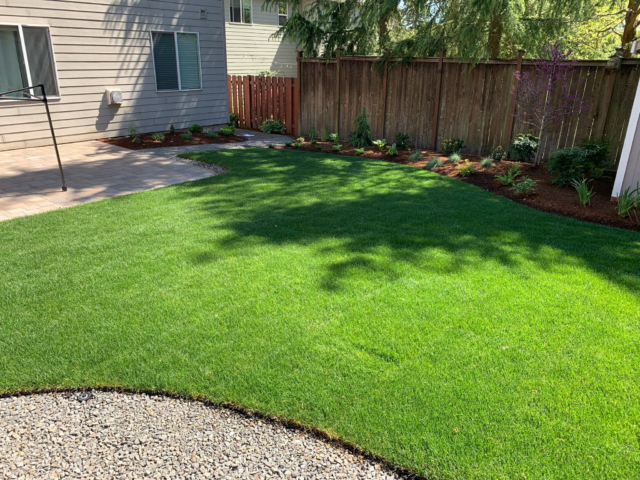 New Sod Lawns