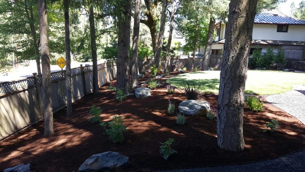 Boulders Plants Custom Landscaping