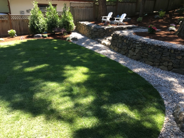 New Sod Lawns