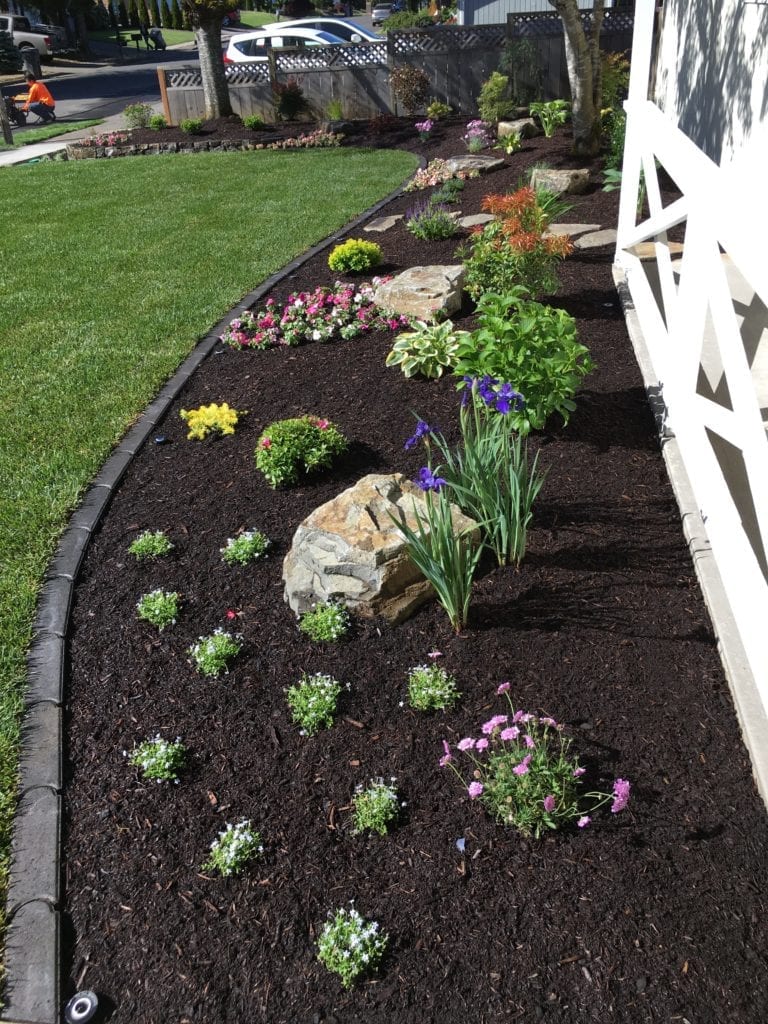 Boulders Plants Custom Landscaping