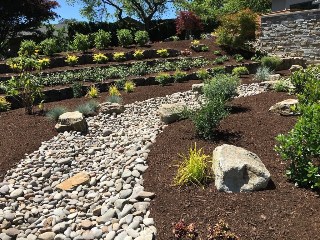 Boulders Plants Custom Landscaping