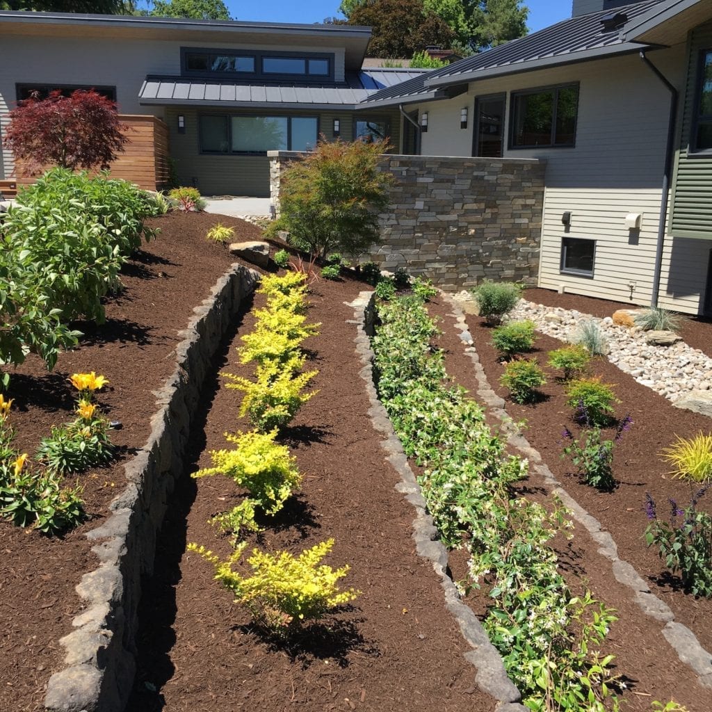 Boulders Plants Custom Landscaping