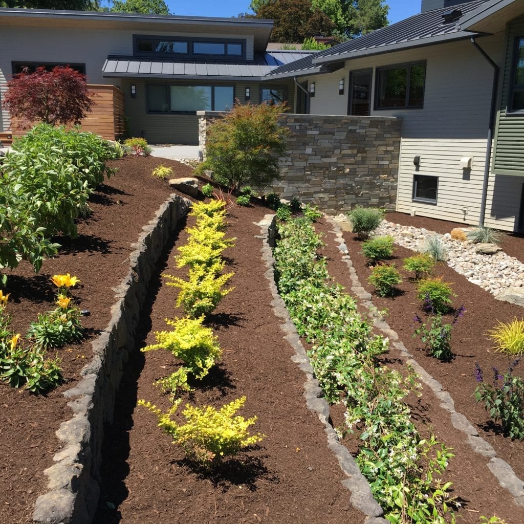 Boulders Plants Custom Landscaping