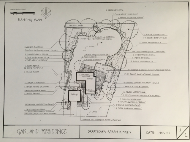 Professional Landscape Design