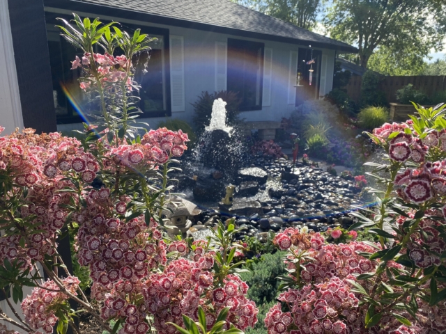 Water Features Artistic Landscapes PDX