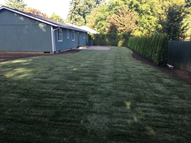 New Sod Lawns