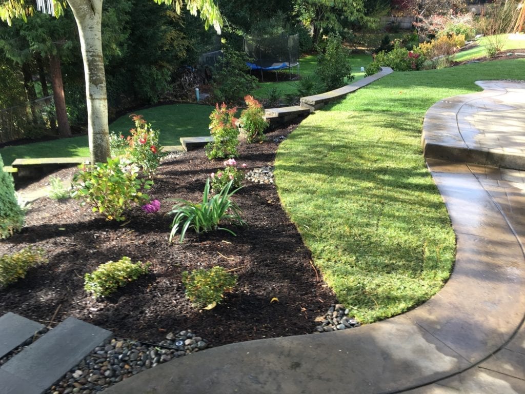 Boulders Plants Custom Landscaping