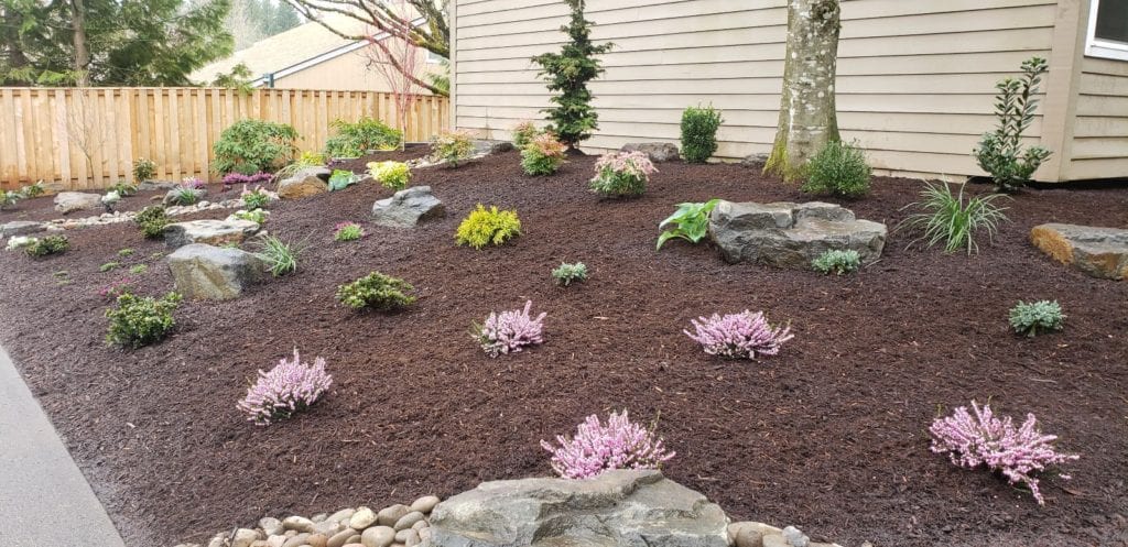 Boulders Plants Custom Landscaping