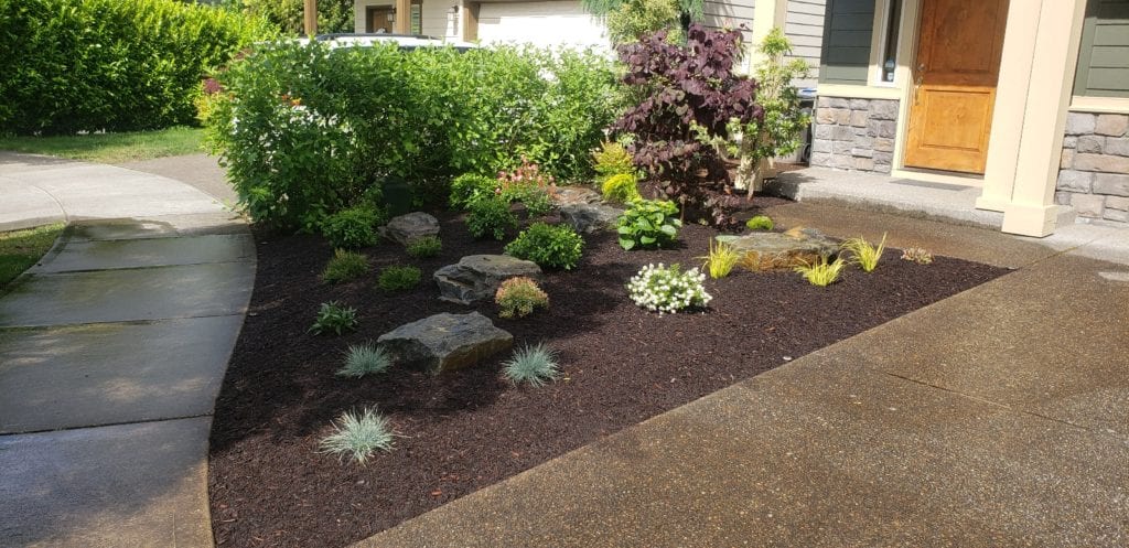 Boulders Plants Custom Landscaping