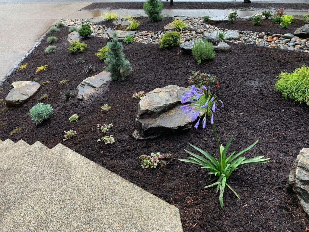 Boulders Plants Custom Landscaping