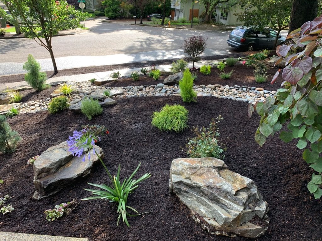 Boulders Plants Custom Landscaping