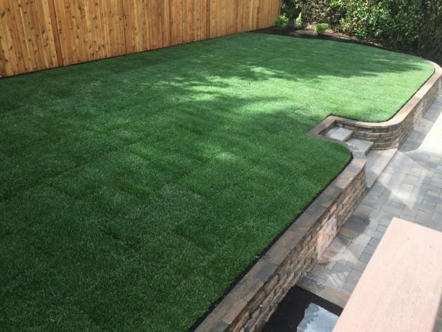 New Sod Lawns