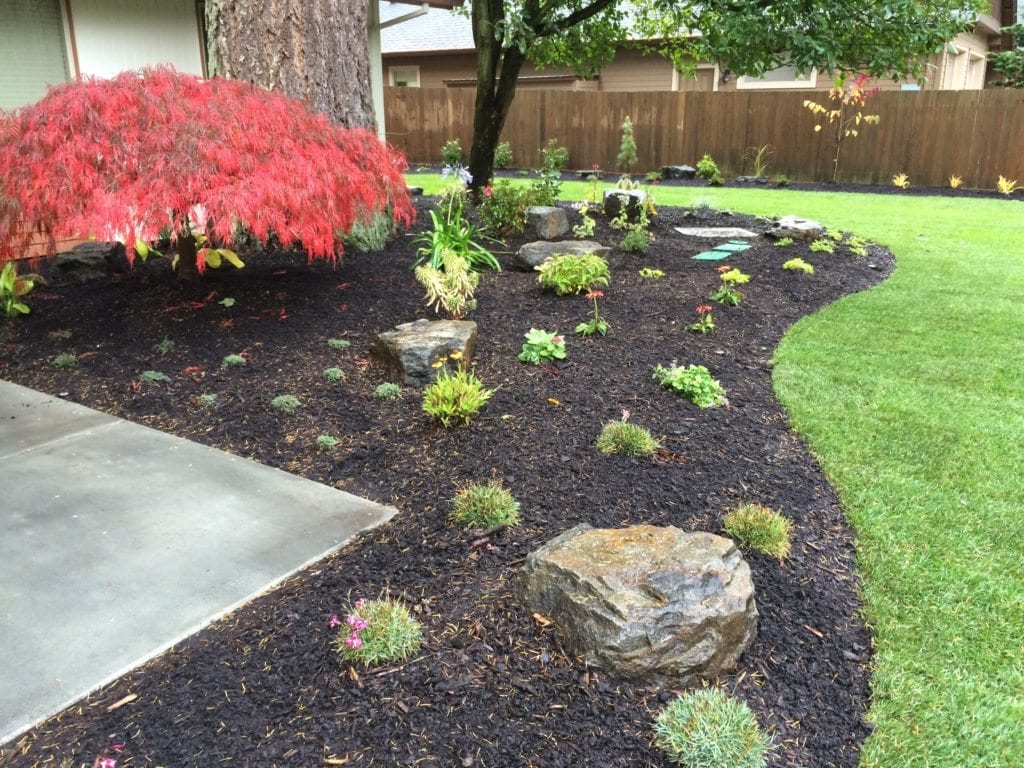 Boulders Plants Custom Landscaping