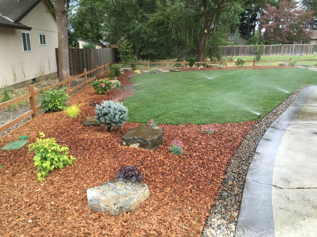 Boulders Plants Custom Landscaping