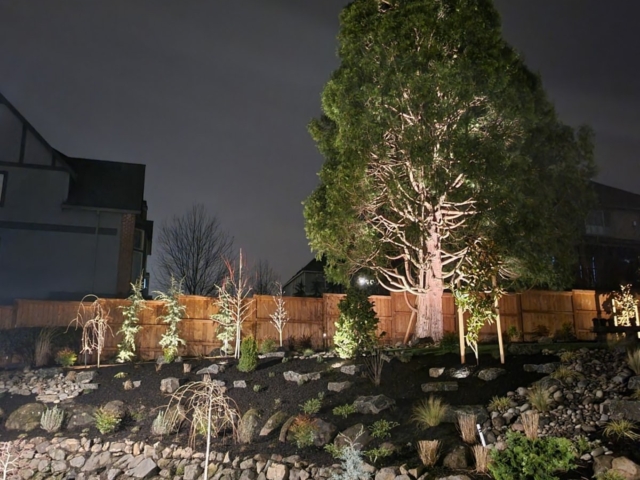 Landscape Lighting Photo Gallery