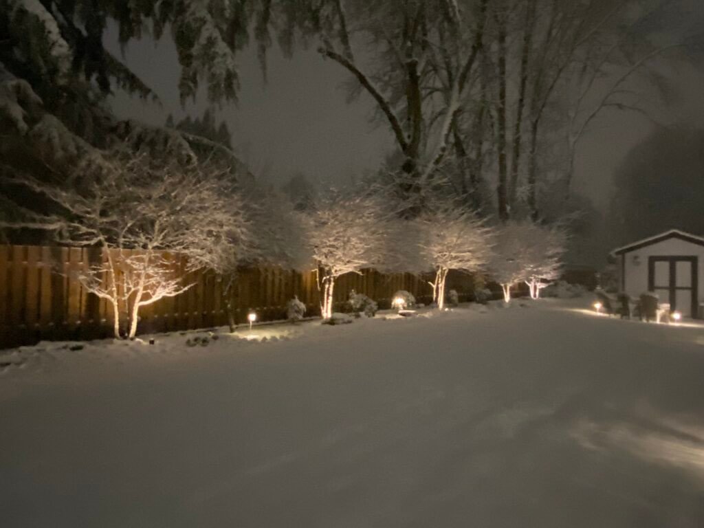 Landscape Outdoor Lighting