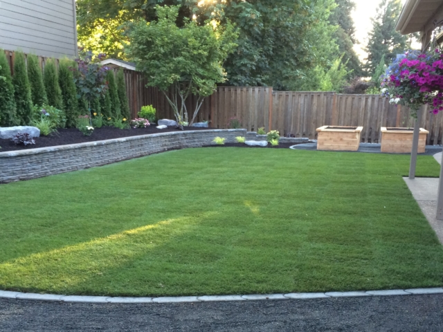 New Sod Lawns