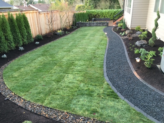 New Sod Lawns