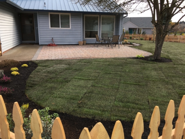 New Sod Lawns