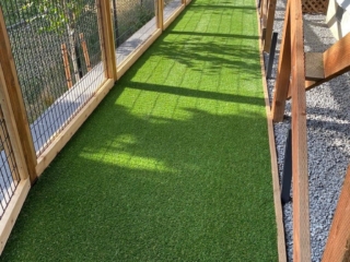 Synthetic Lawns