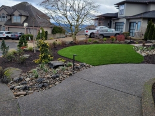 Synthetic Lawns