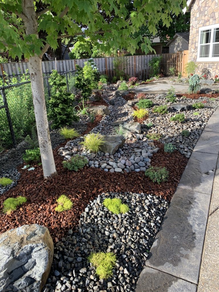 Boulders Plants Custom Landscaping