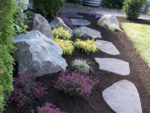 Professional Landscape Design