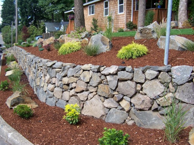 Professional Landscape Design