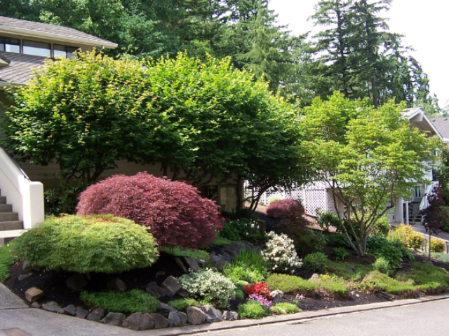 Professional Landscape Design