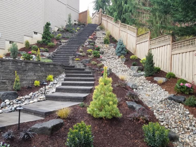 Professional Landscape Design