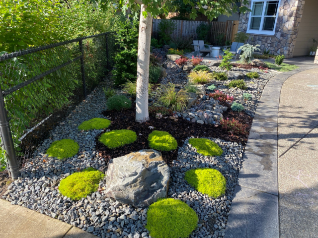 Professional Landscape Design