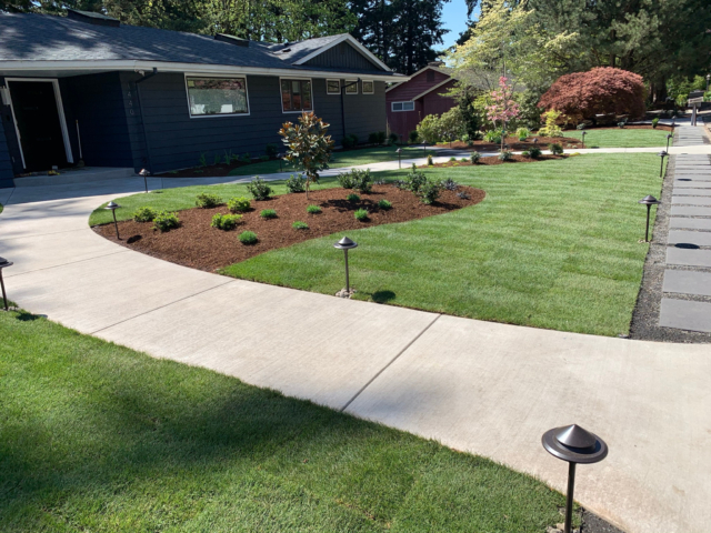 Professional Landscape Design