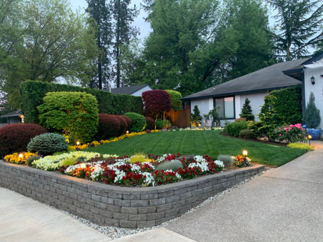 Professional Landscape Design