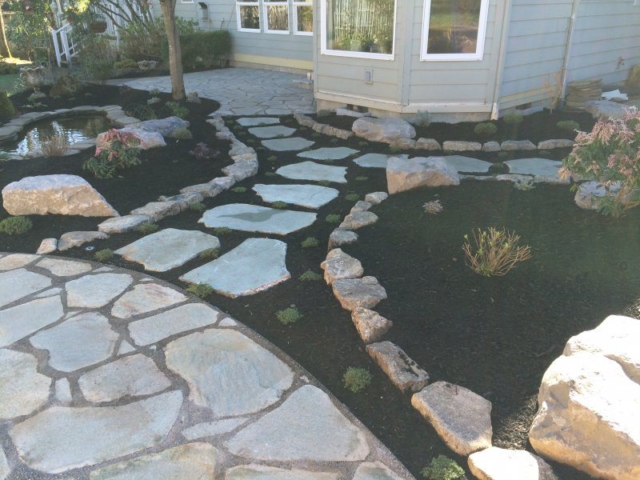 Professional Landscape Design