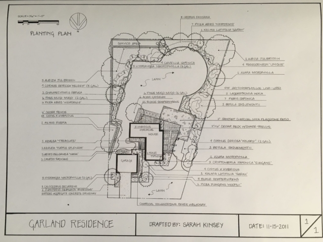 Professional Landscape Design