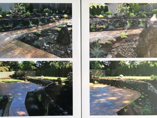 Professional Landscape Design